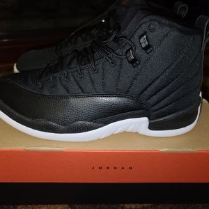 Used 2016 Air Jordan 12 Nylon